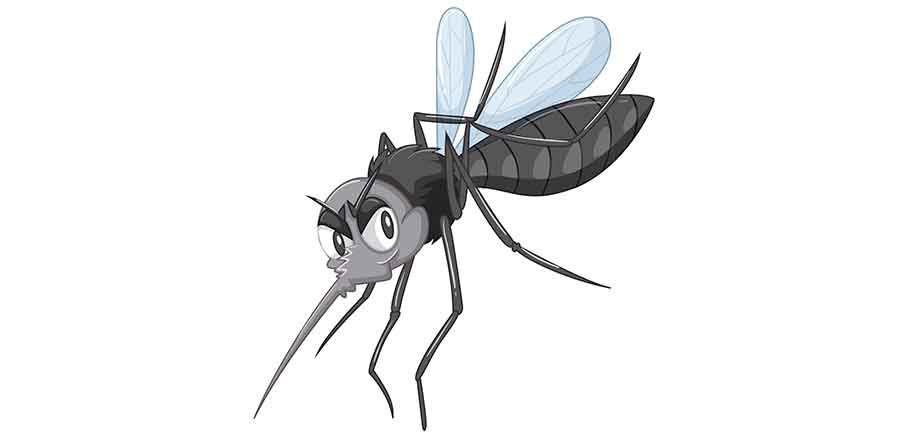 Εικαστικό με κουνούπι ένα απ’ τα πιο συνηθισμένα έντομα καλοκαιριού.