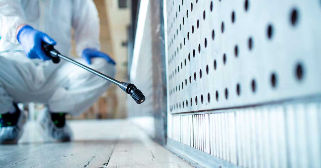 Απεντόμωση πριν την ανακαίνιση