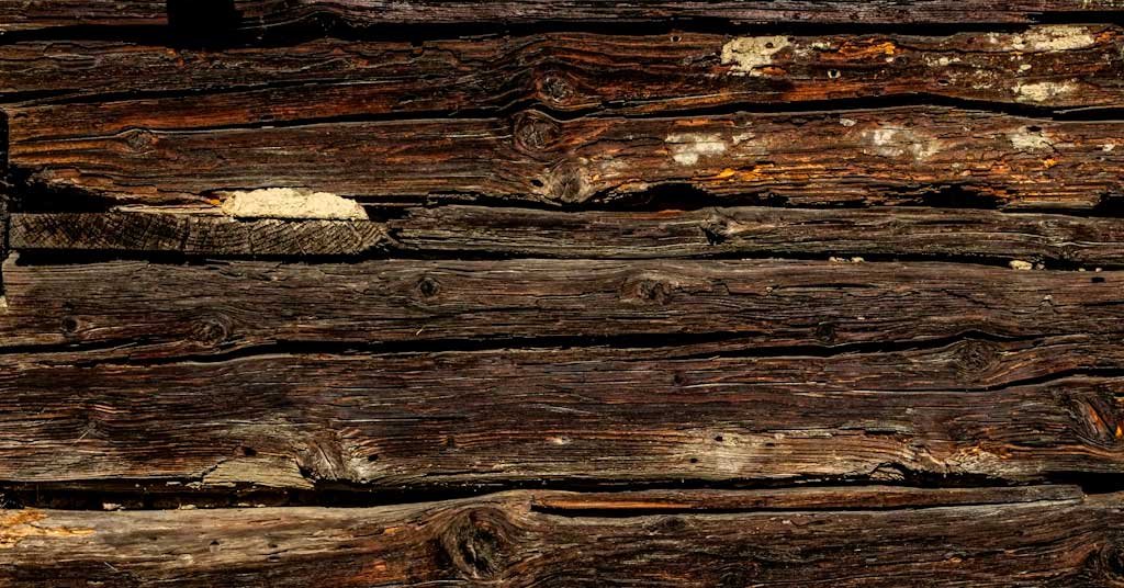 Καταπολέμηση τερμιτών