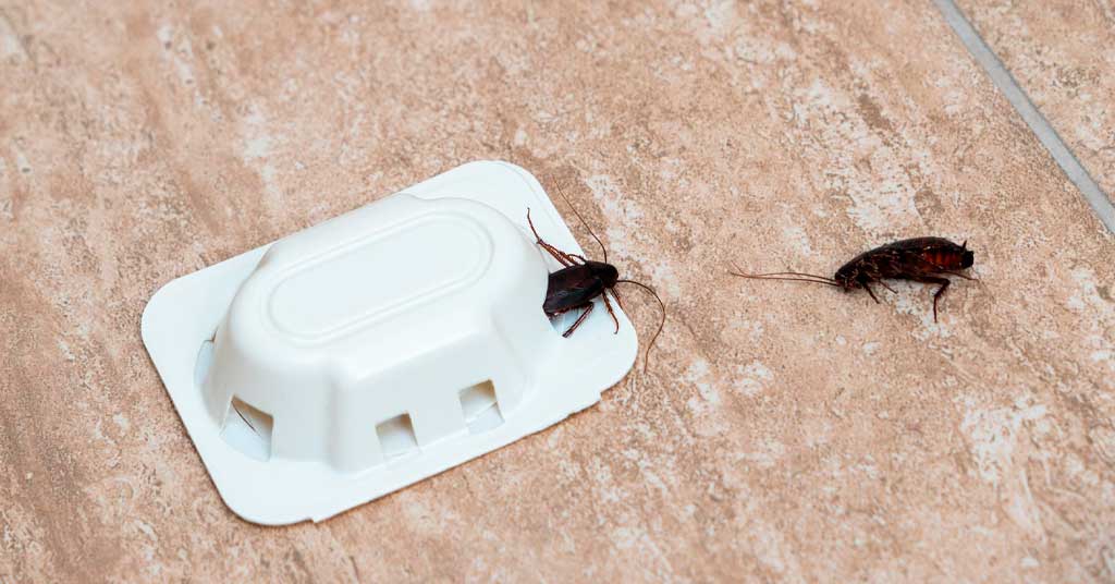 Συσκευή για έντομα